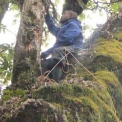 Camera Traps Deployed to Monitor Biodiversity in Volcanoes National Park