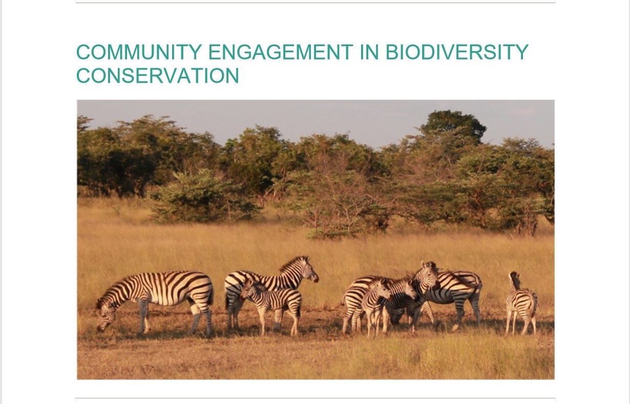 an essay about conservation of biological diversity in east africa