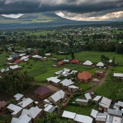Rwanda to Expand Mountain Gorilla Habitat By 23%