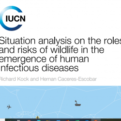 Situation Analysis on the Roles and Risks of Wildlife in the Emergency of Human Infectious Diseases