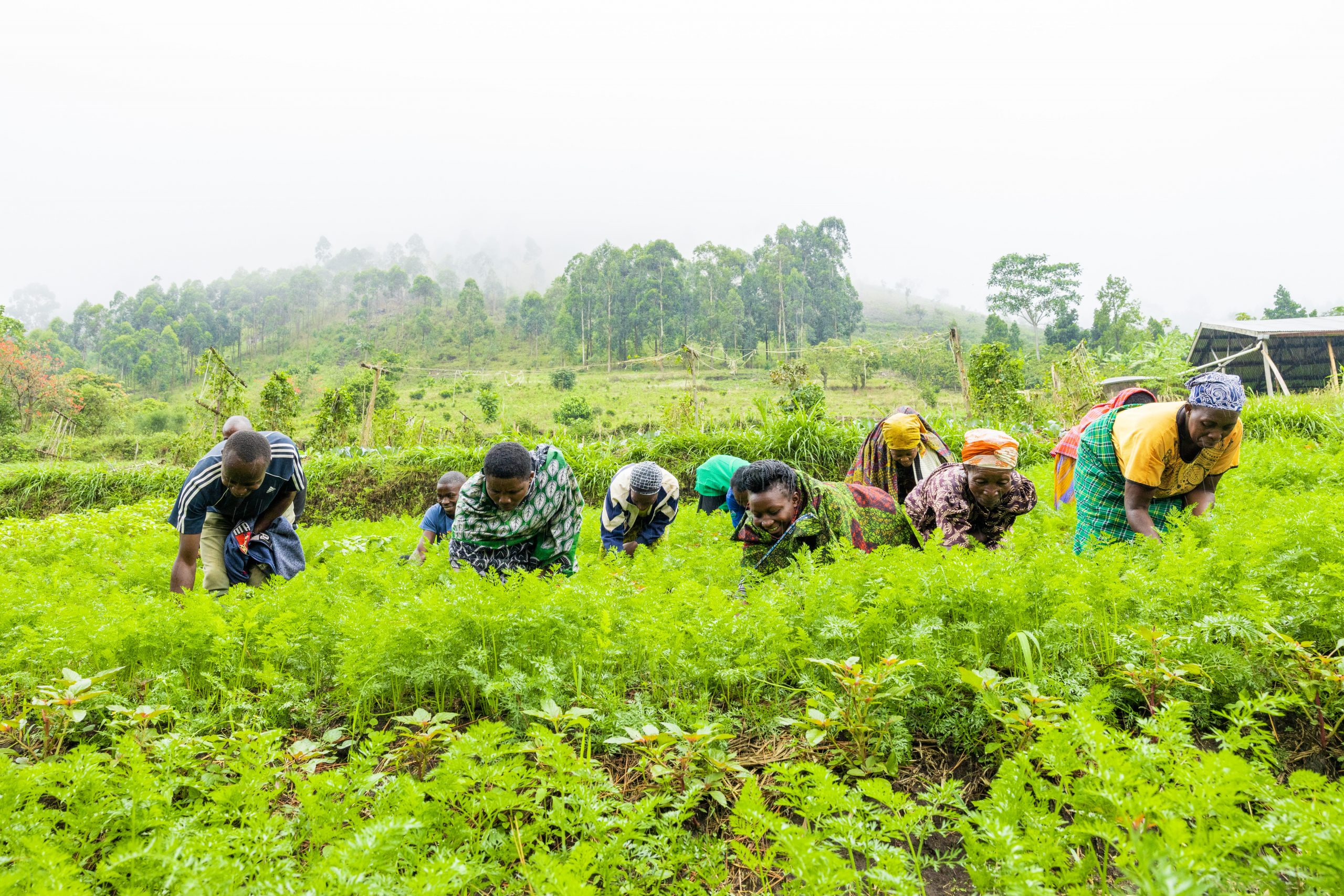 Addressing Malnutrition Through Vegetable Growing