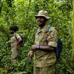 World Ranger Day: Honouring the Foot Soldiers Who Protect the Endangered Mountain Gorillas