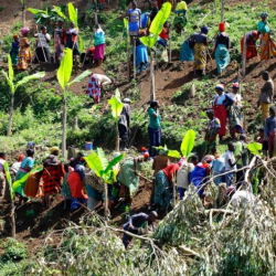 Community Members Restore 8 Acres of Deserted Nombe Hill